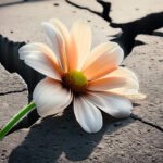 flower growing out of concrete